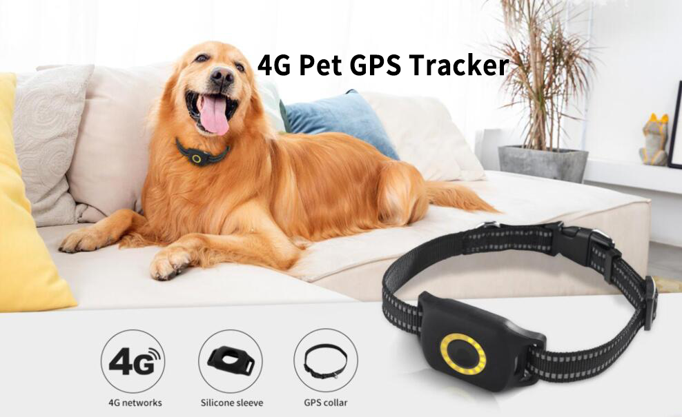 China GPS Tracker Manufacturers Shenzhen i365Tech Co.,Limited